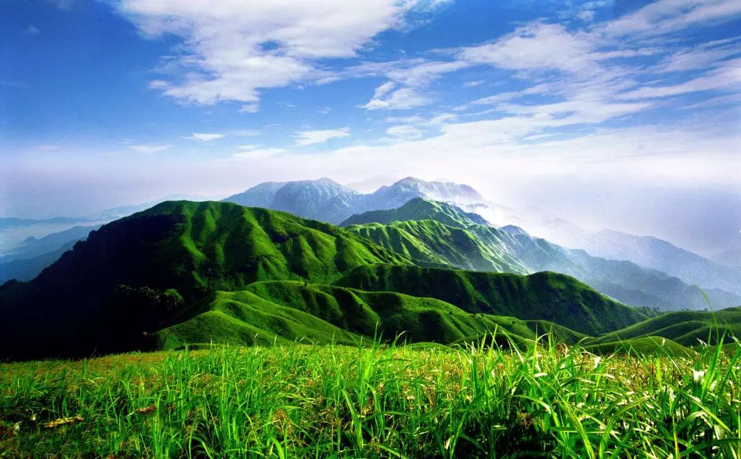 圣灯山徐氏其他照片