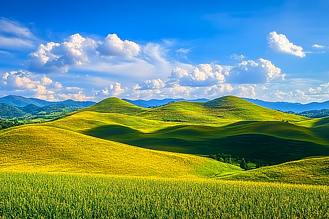 圣灯山徐氏地理图集